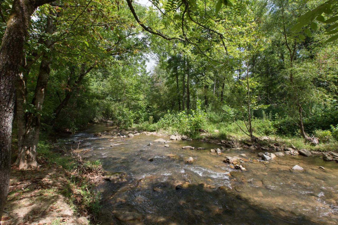 Reedy Patch Cabin Villa Hendersonville Kültér fotó