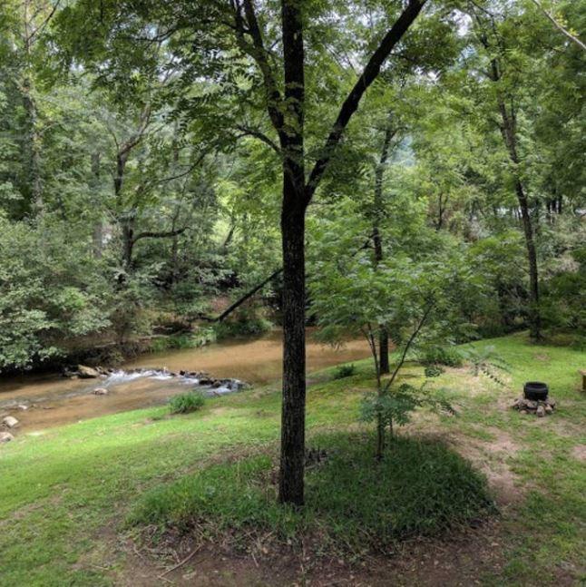 Reedy Patch Cabin Villa Hendersonville Kültér fotó
