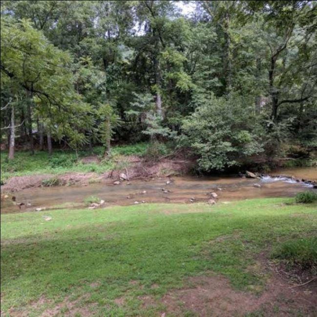 Reedy Patch Cabin Villa Hendersonville Kültér fotó